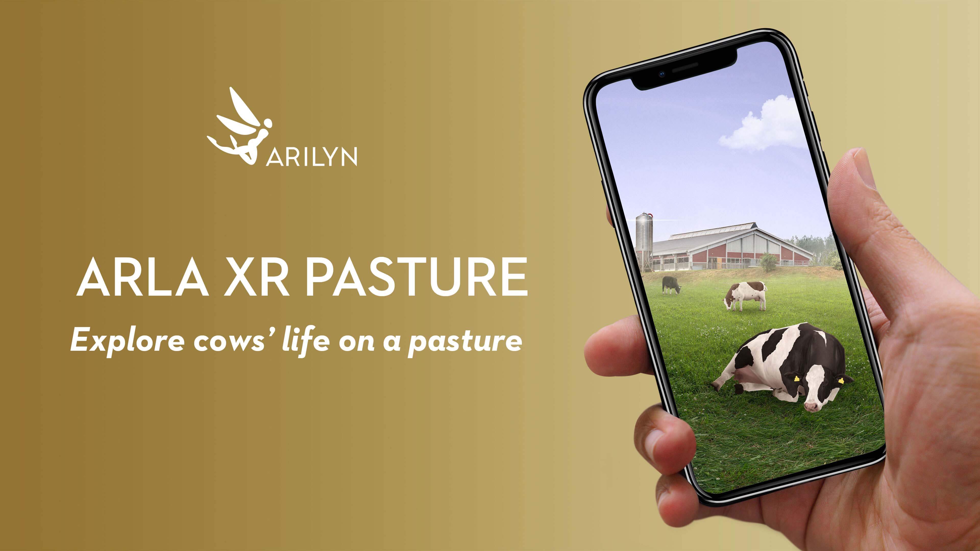 Arla's new XR world invites to explore cows' life on a pasture