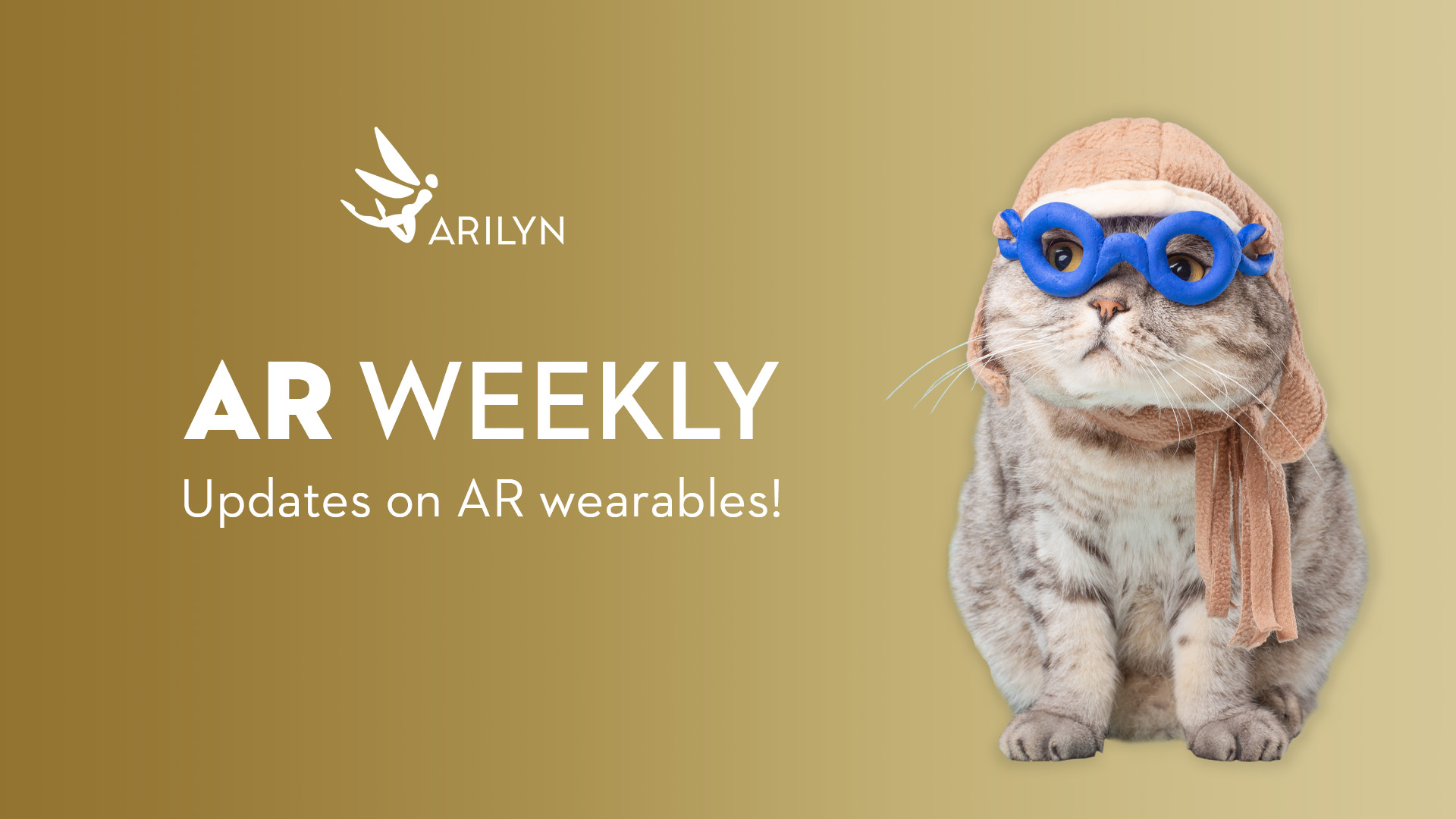 AR Weekly | October 30 | 2020